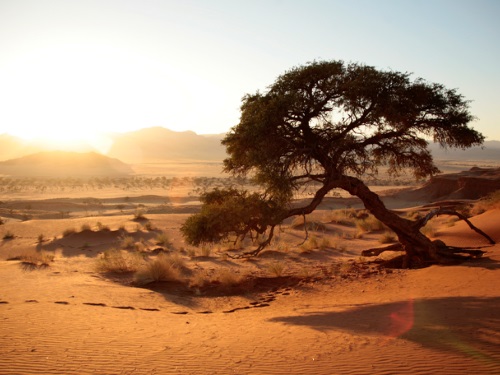 Namib Desert Lodge Namib Desert